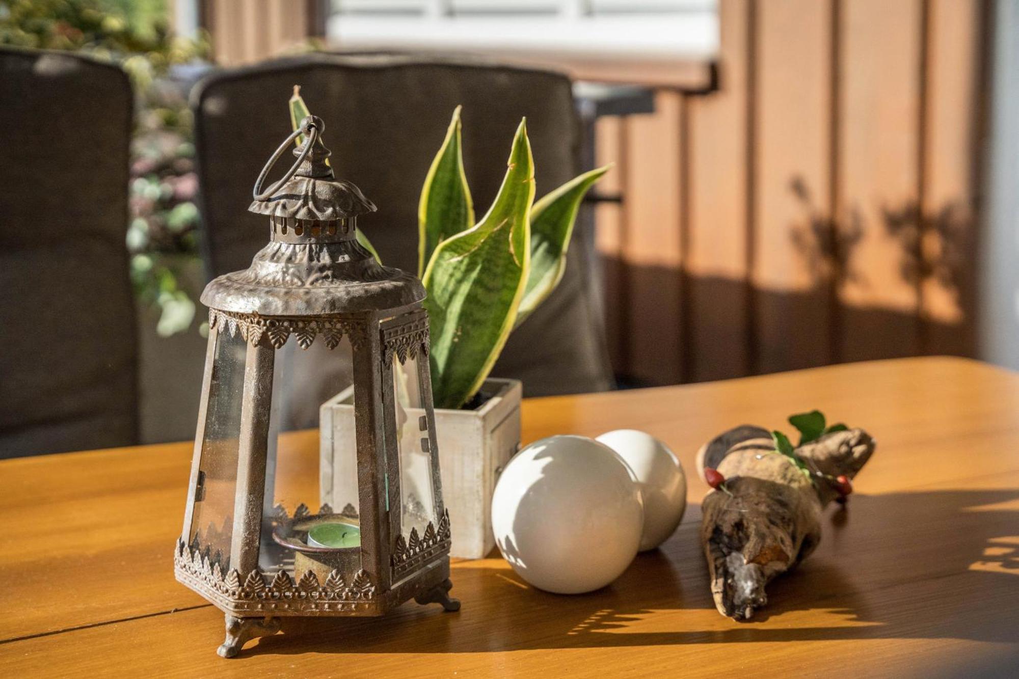 Apartament Dalblick Oberharmersbach Zewnętrze zdjęcie