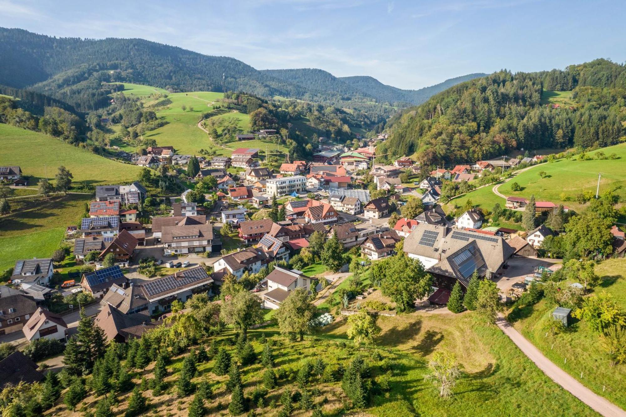Apartament Dalblick Oberharmersbach Zewnętrze zdjęcie
